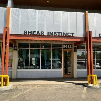 Shear Instinct Workplace Profile
