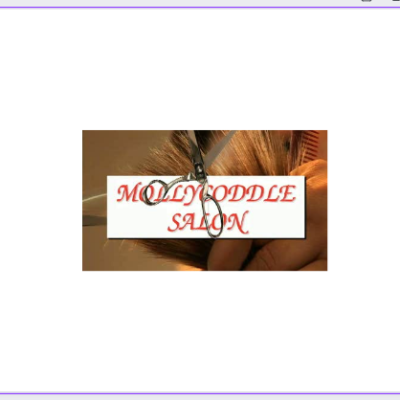 Mollycoddle Salon & Spa Workplace Profile
